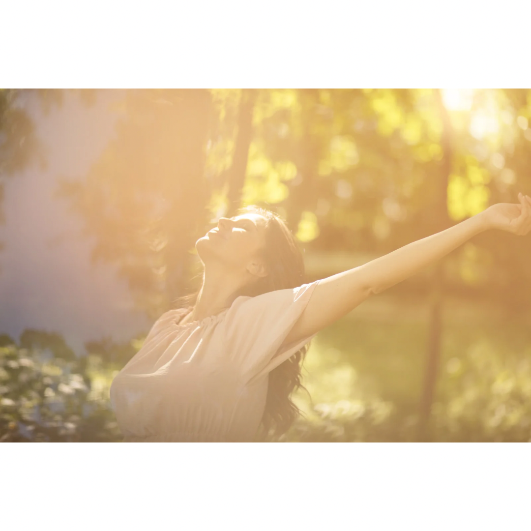 C8568010-7D7B-4810-8317-D8A730947BCC